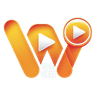 Wan Vace logo